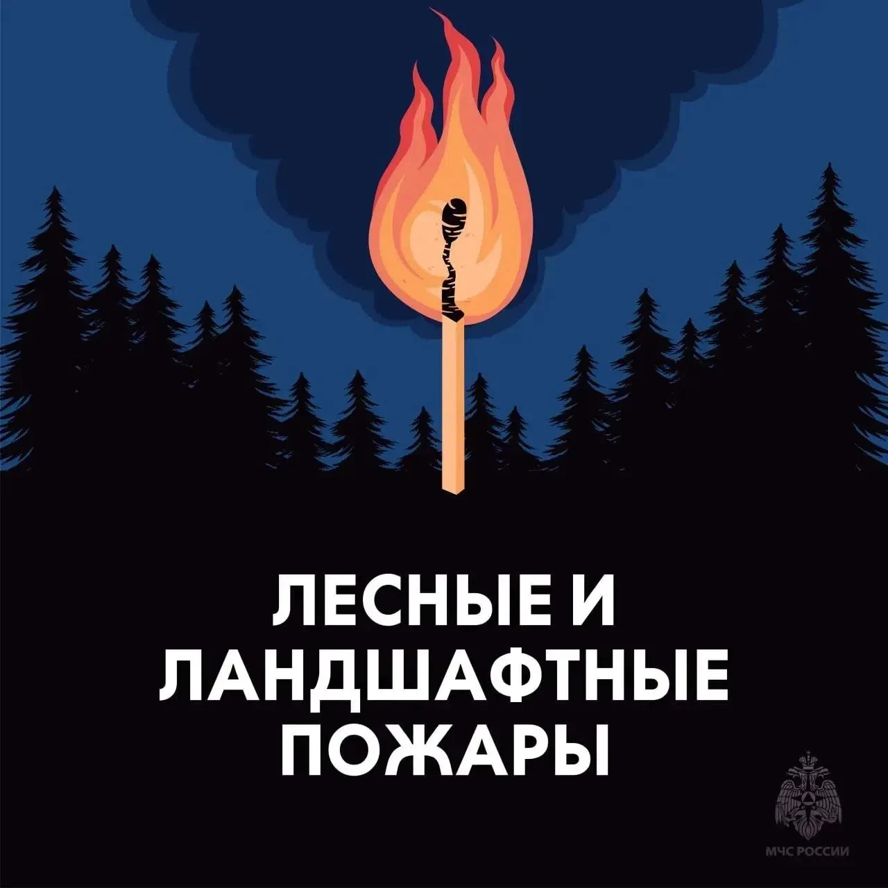 МЧС России напоминает: не сжигайте сухую траву❗️