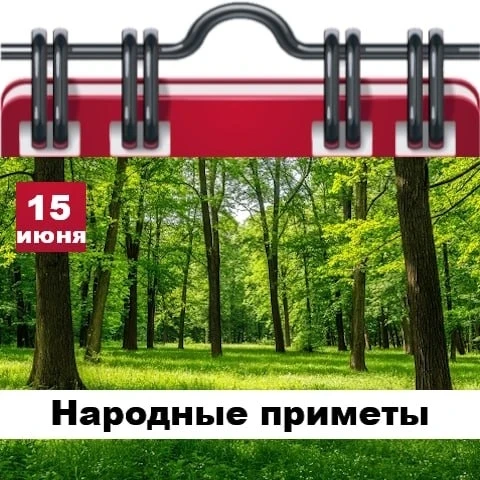 Народные приметы 15 июня

✅ Если ночью и утром тихая погода, значит, еще несколько дней будет тепло 