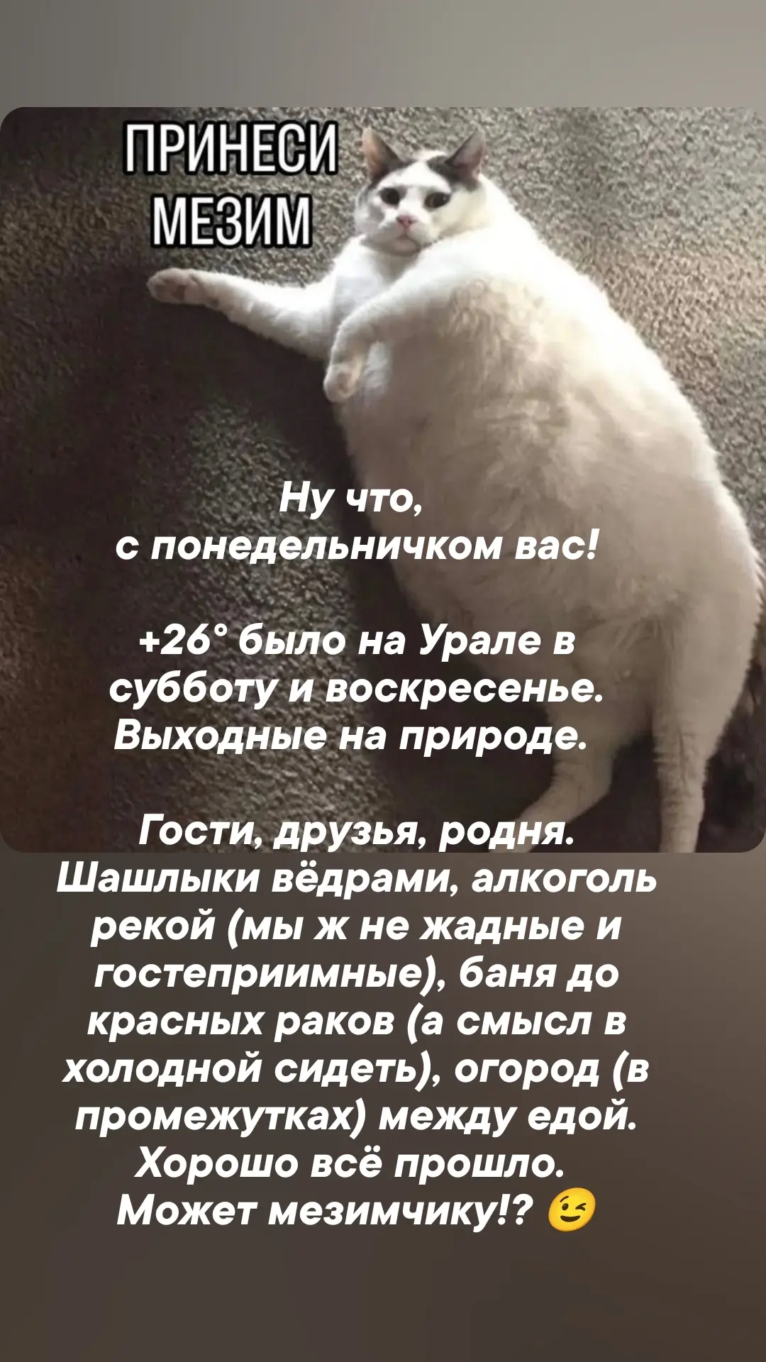 Тяжесть в животе, распирает. Да еще и запор случился..