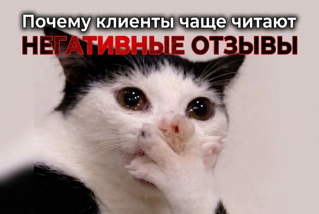 Потому что перед покупкой человек ищет не подтверждение, что всё хорошо. Он ищет риск.