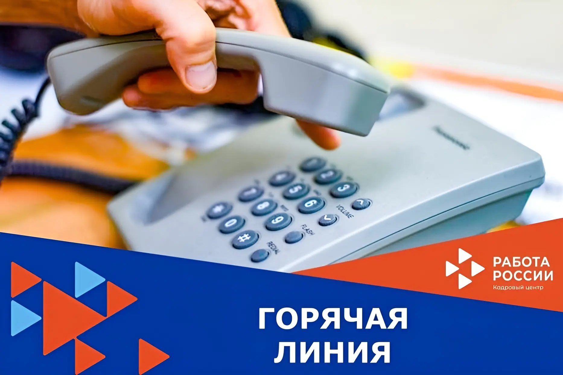 📞 «Горячая линия», посвященная Дню знаний ‼