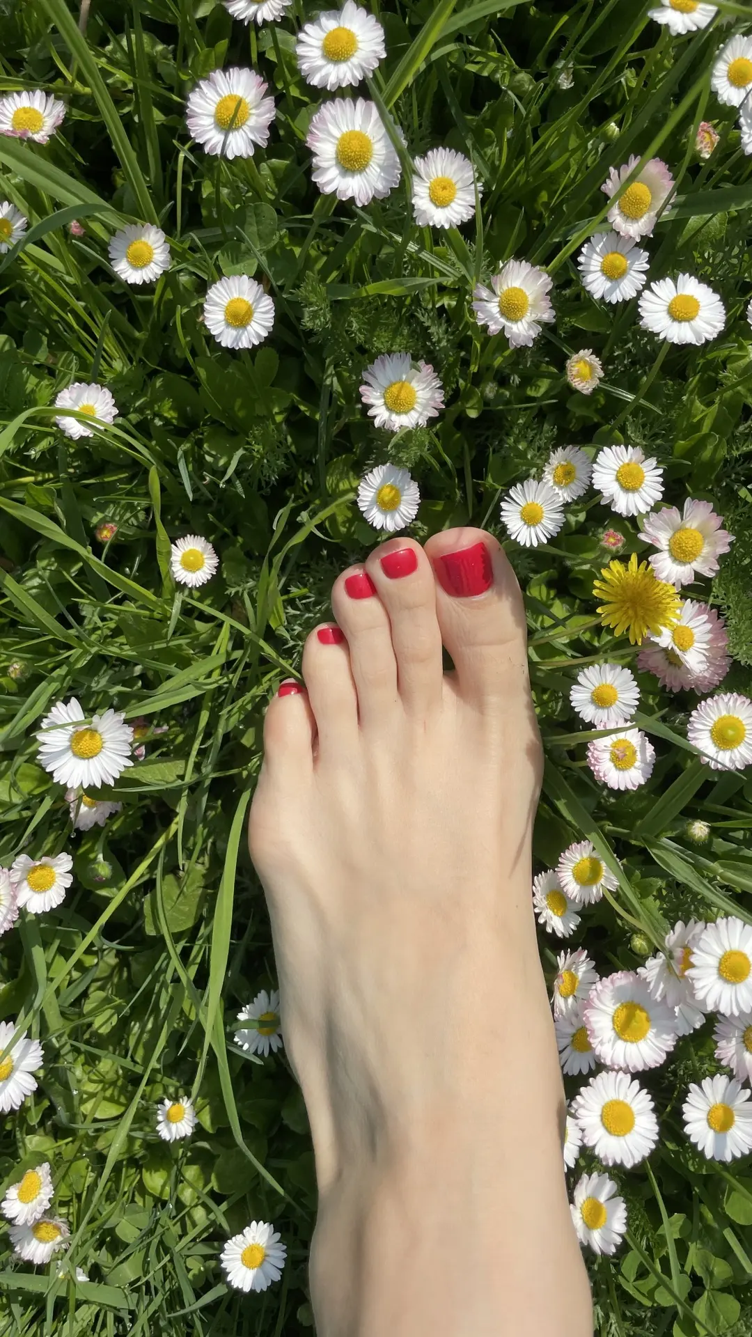 С первым днём лета)))) сезон педикюра объявляю официально открытым))))☺️