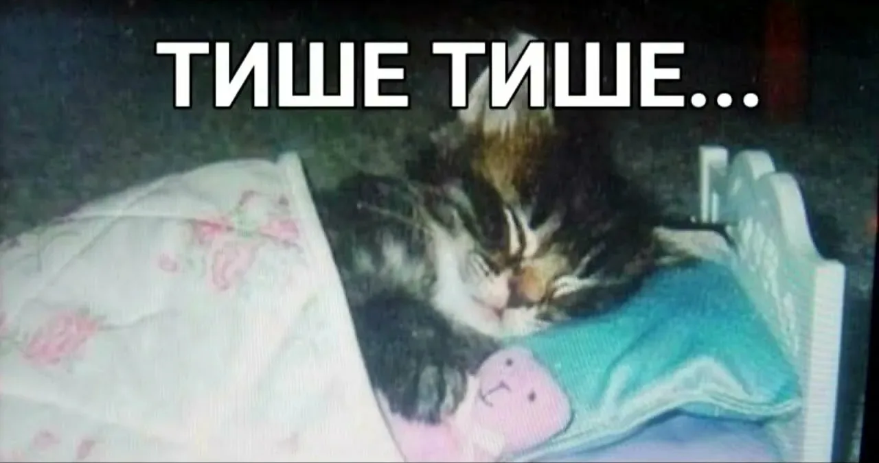 ГРОМКОСТЬ НА МИНИМУМ🔇🙊