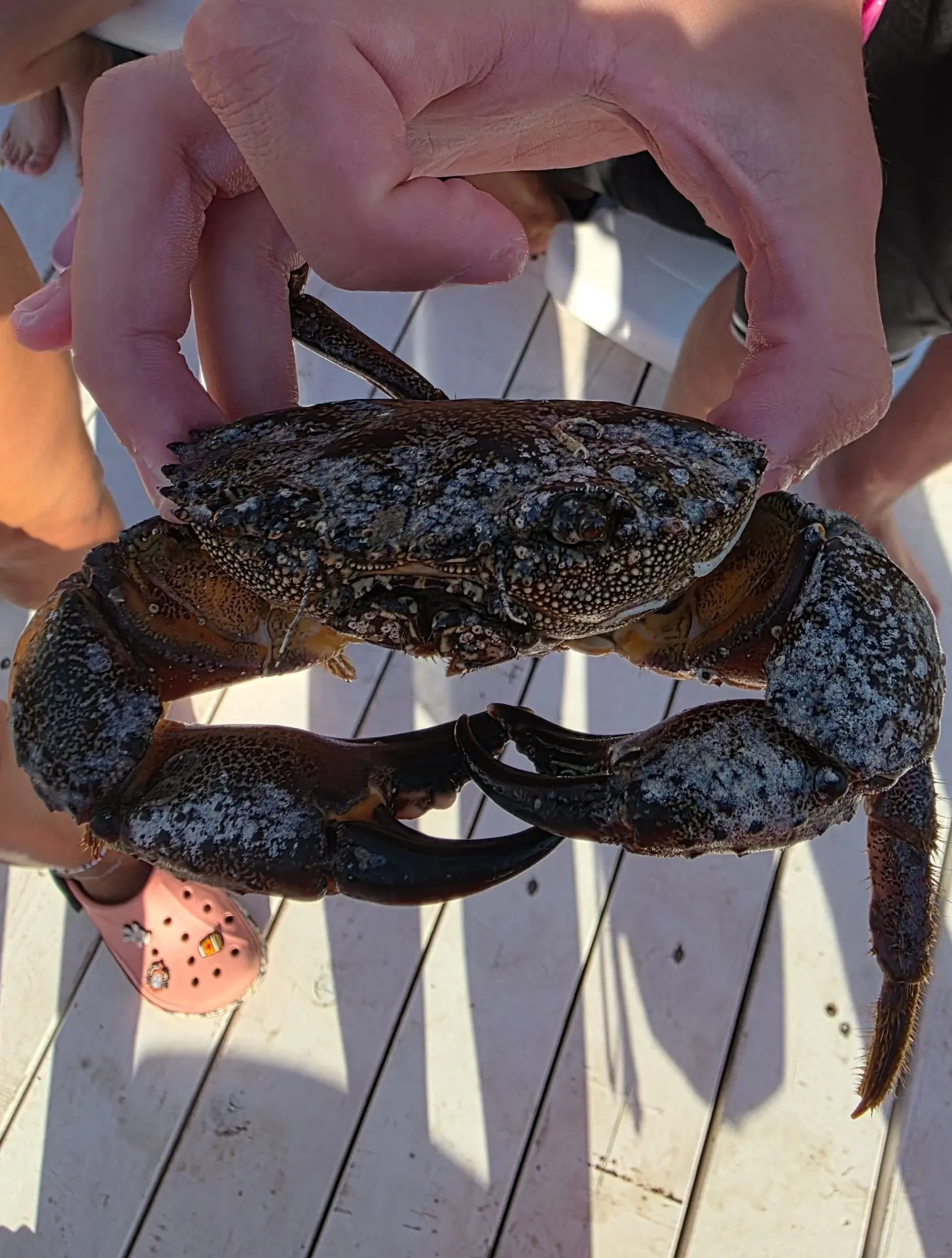 В ГЛАЗА МНЕ СМОТРИ!!!

🦀 Вчера мальчишка поймал, симпатичного такого, краба.

📸 Я, конечно же, не 