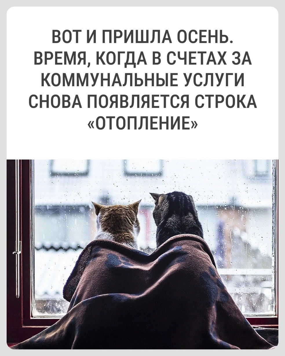 💸 Как снизить расходы на коммуналку