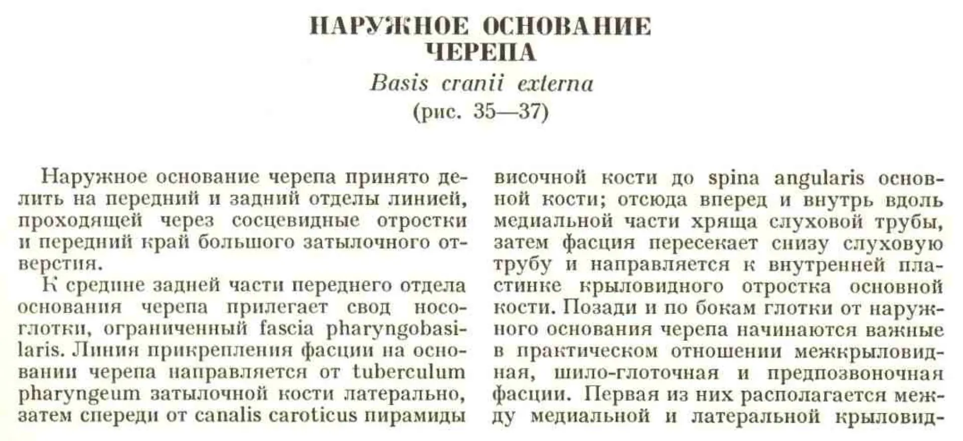 Наружное основание черепа