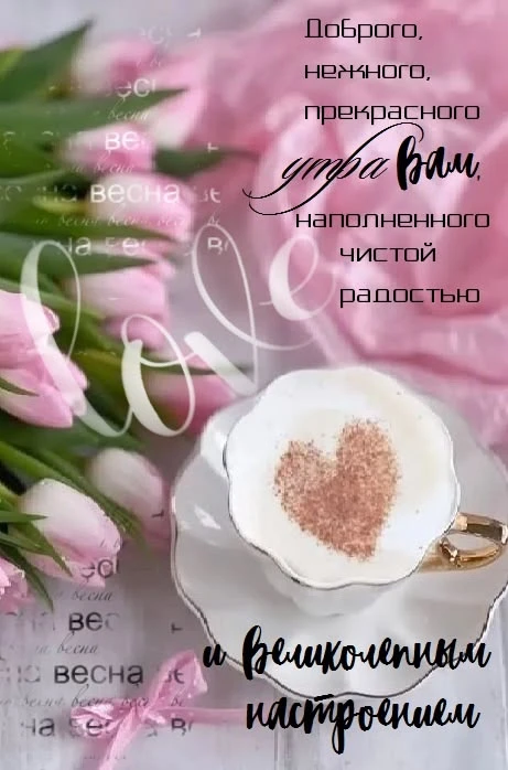 👉 Наши каналы. Подписаться.
