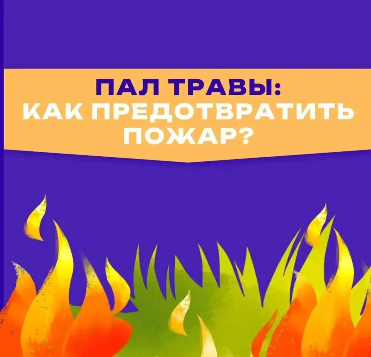 🔥 Пал травы: почти всегда виноваты мы сами.  Сухая трава вспыхивает мгновенно - от непотушенного кос