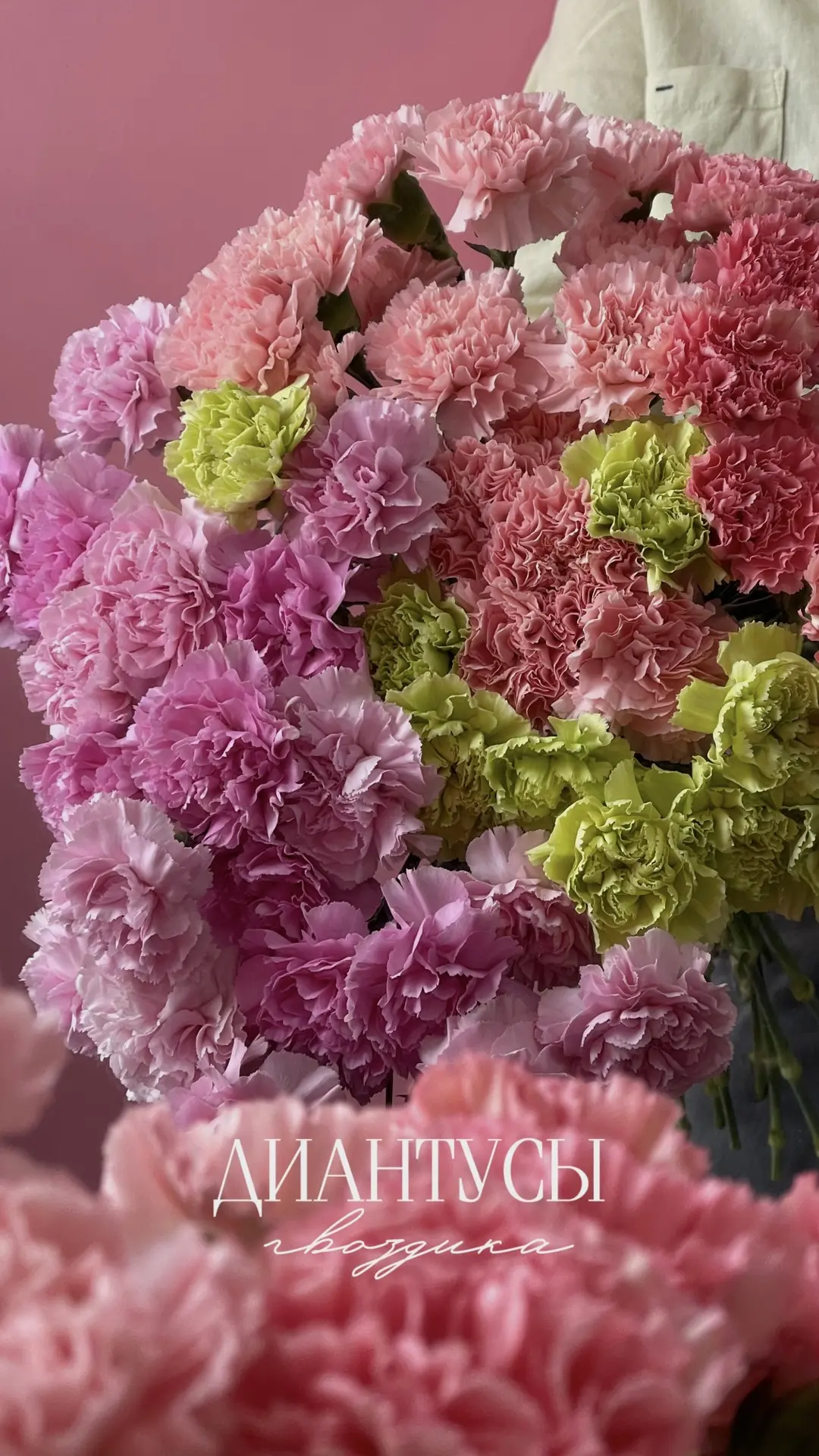 ✨Диантусы✨

🌸Ваши любимые яркие и сочные оттенки гвоздики снова доступны к заказу 🤍

Стоимость с у