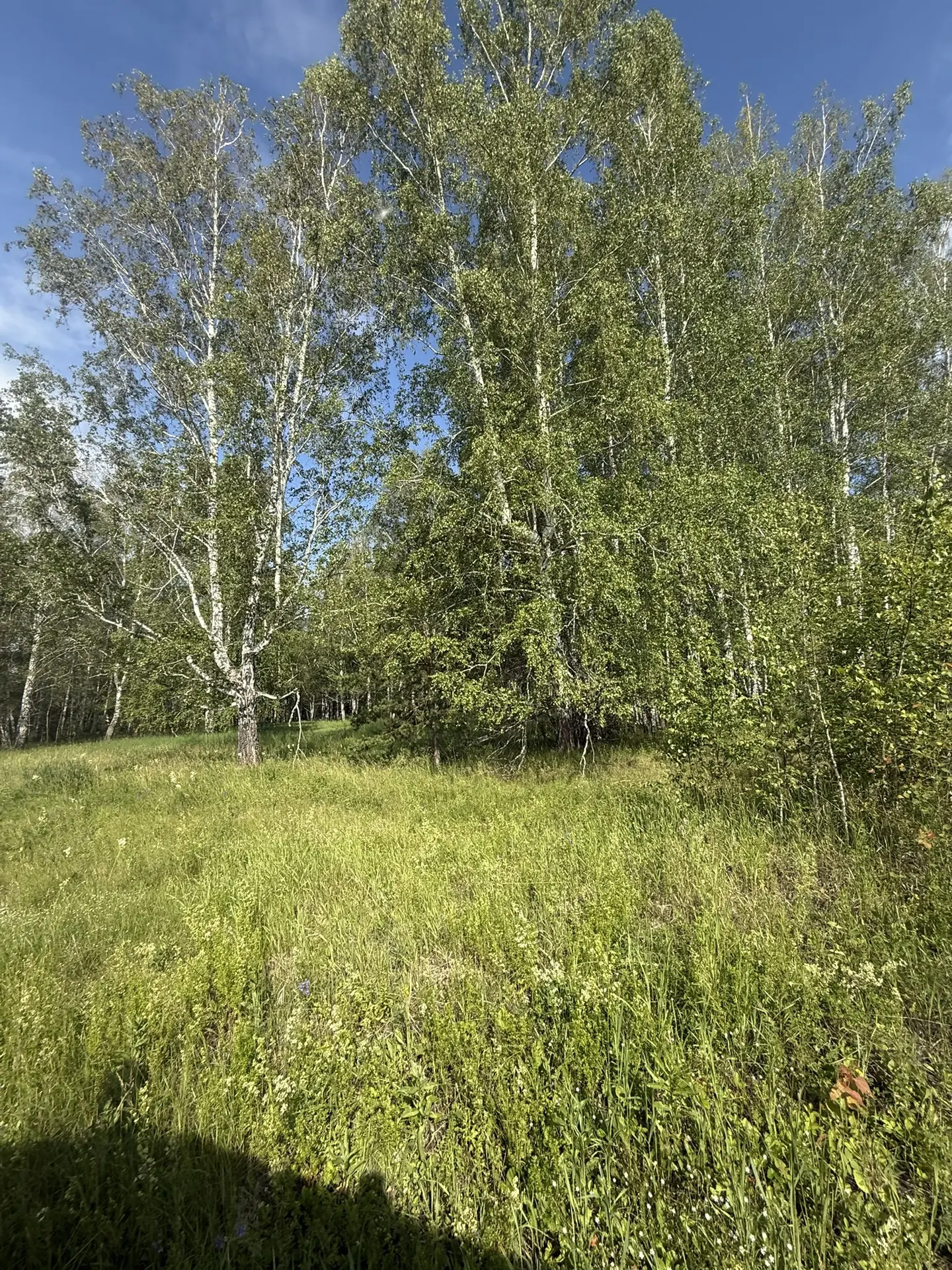 🌲 Сегодняшнее утро начали с поездки по Ирбитскому тракту — смотрели земельные участки и прокатились