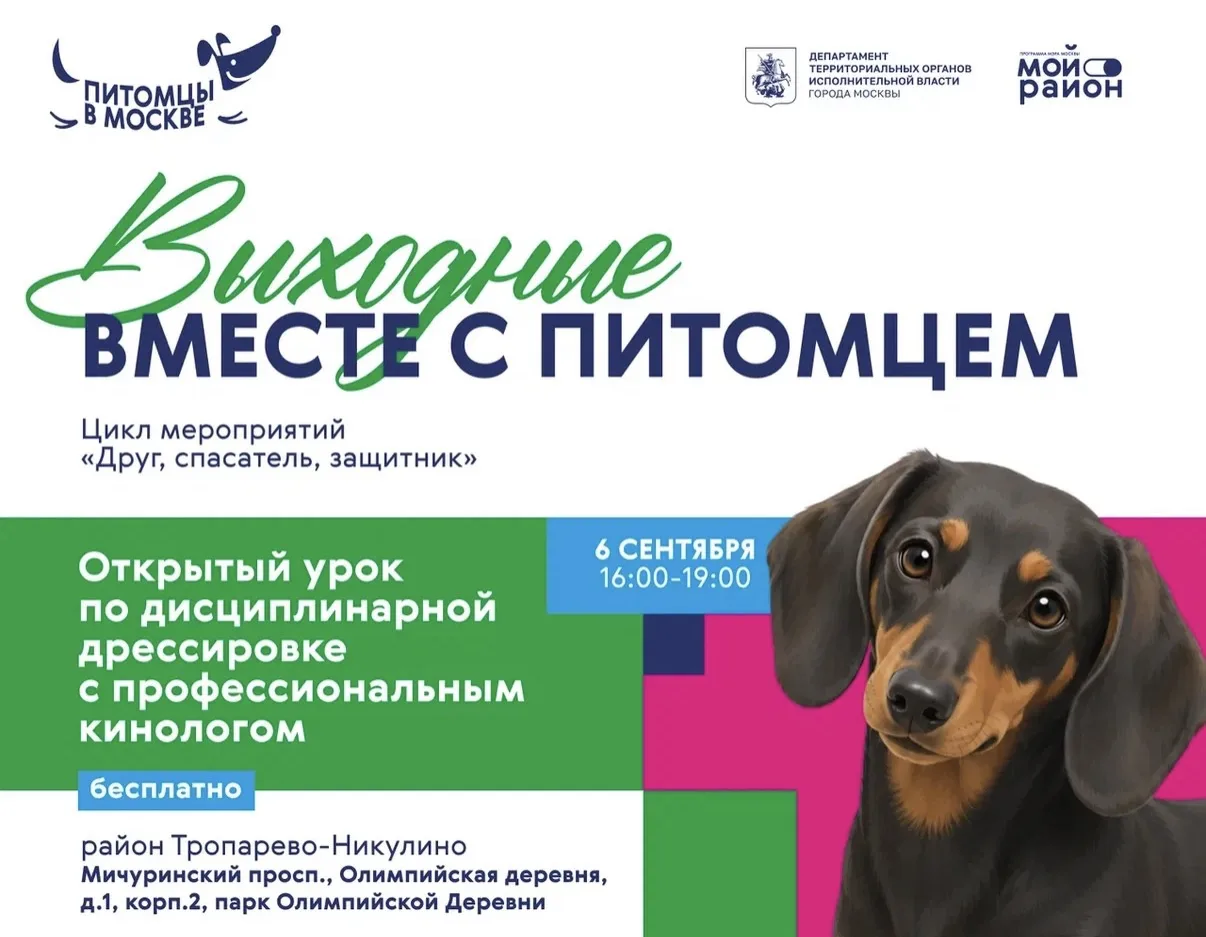 Открытый урок по дрессировке в районе Тропарево-Никулино