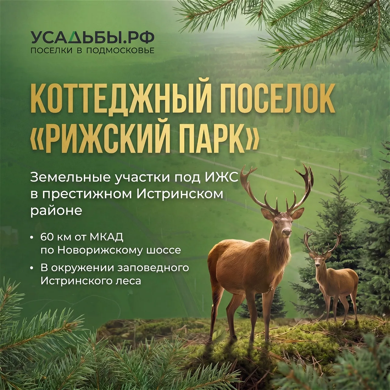 🌲 «Рижский Парк»: готовый посёлок на престижном Новорижском направлении