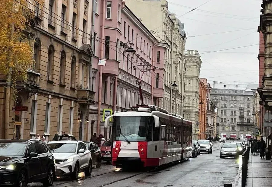 Скоростной трамвай свяжет Колпино с метро «Шушары»: проект утвержден в Смольном

На рабочем совещани