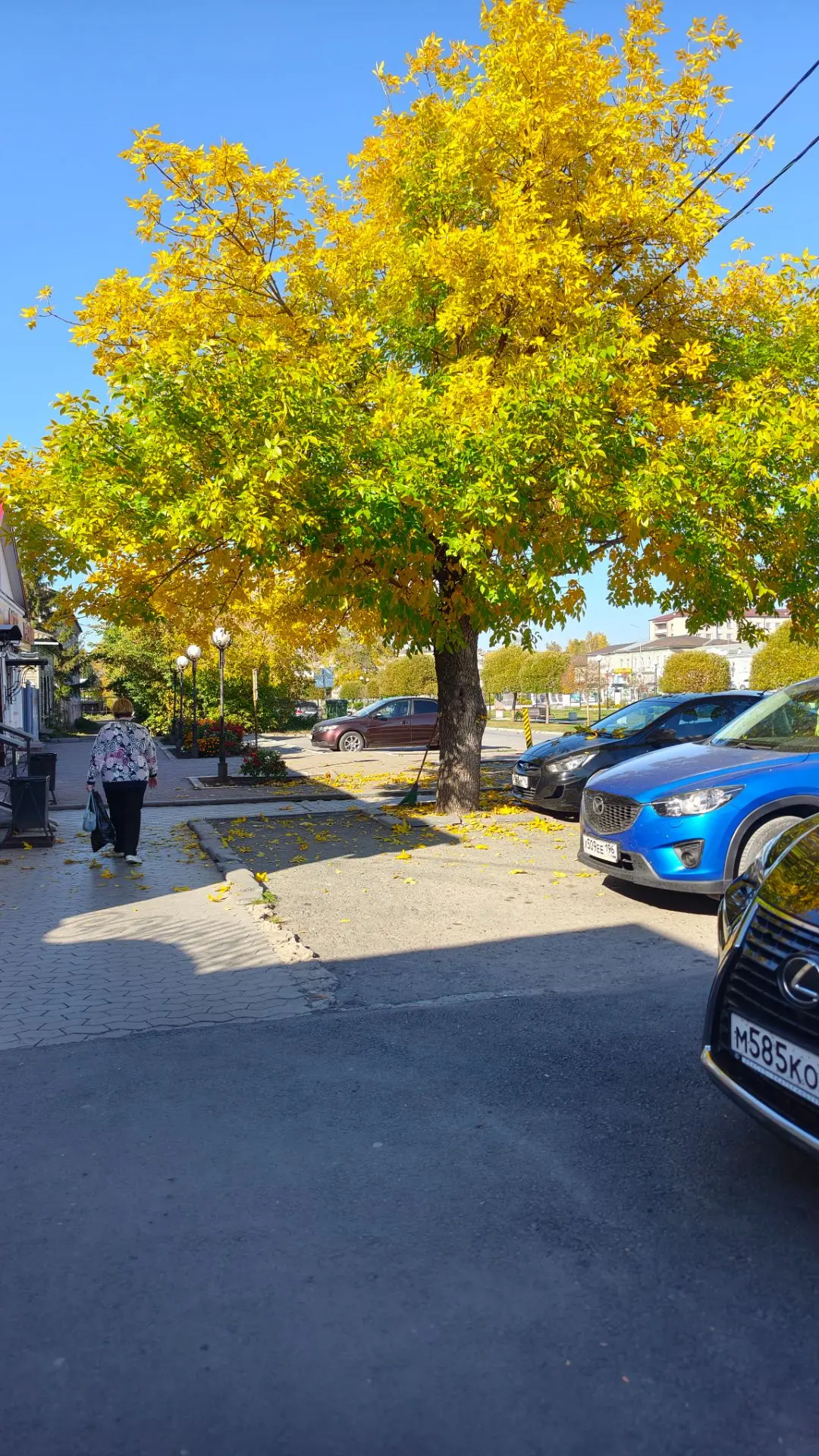 Осень прекрасна 🍁
