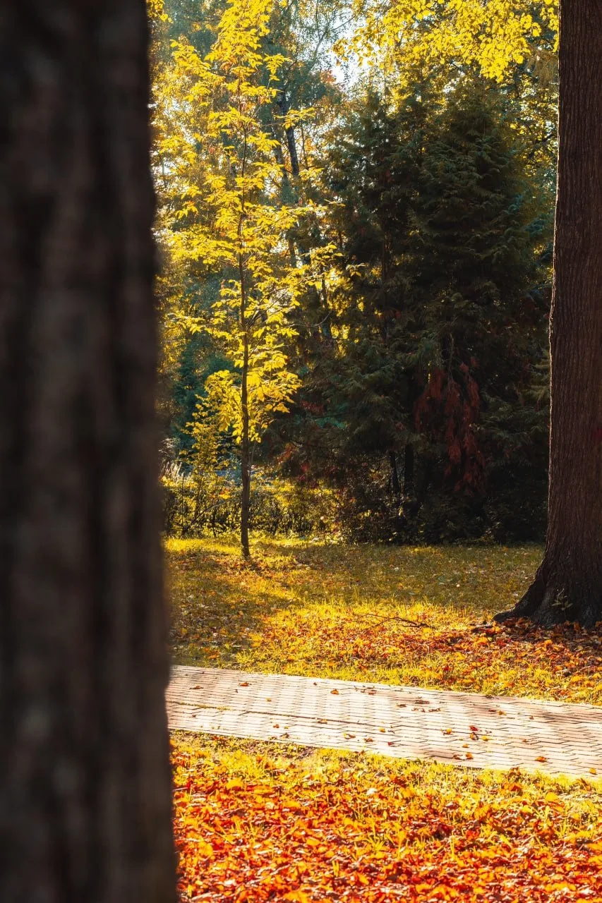Осень в Измайловском парке🍂🍁