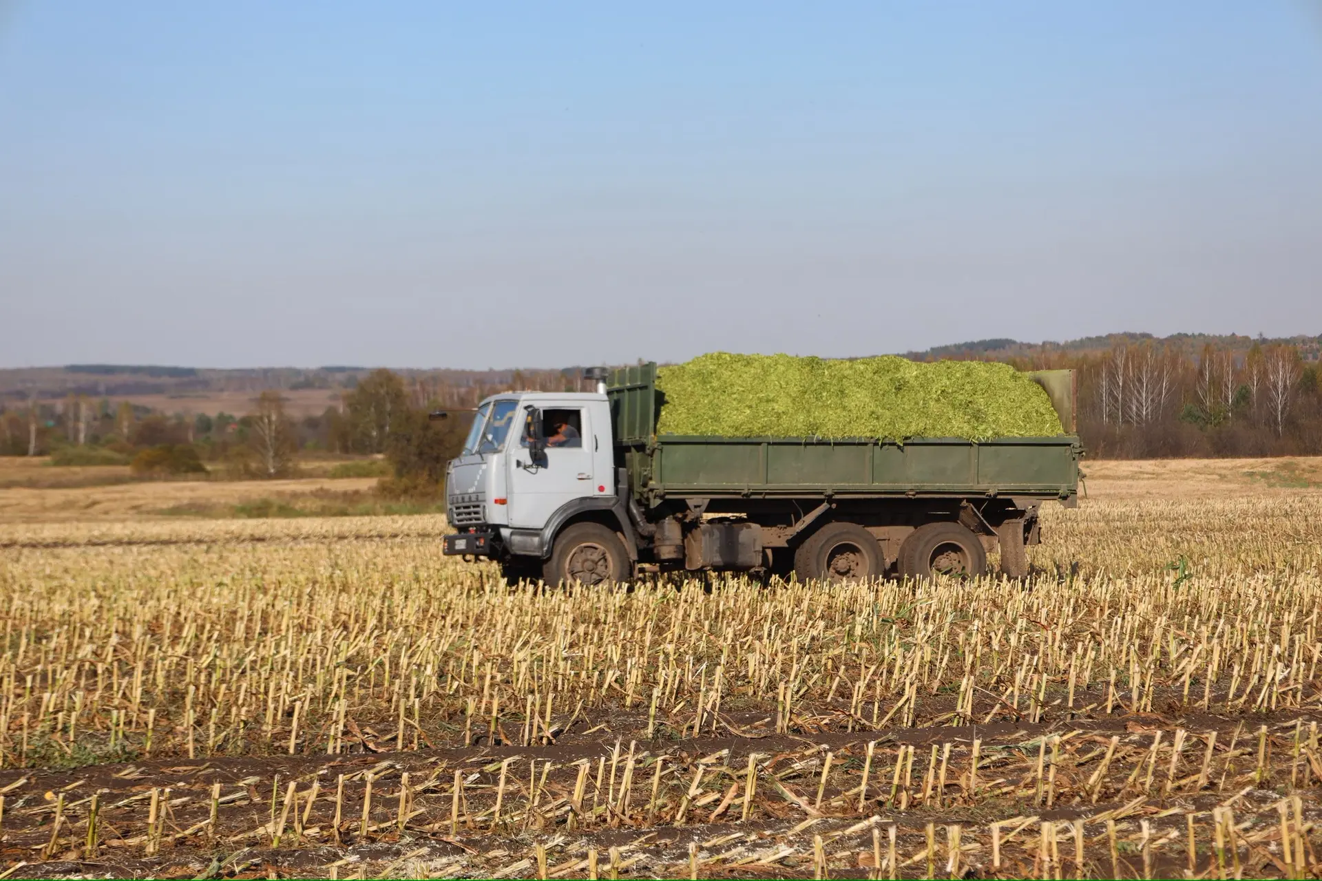 🌾 Уборка урожая завершается