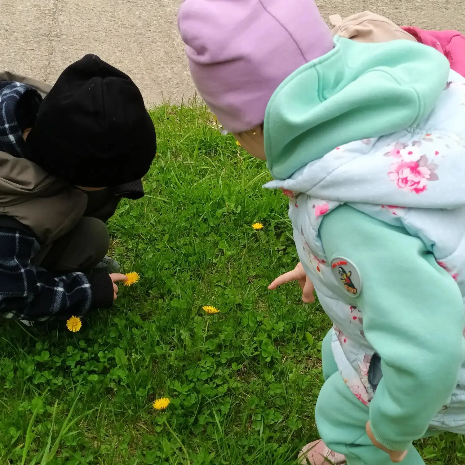 🌼Во время прогулки в группе раннего возраста «Капельки»  малыши сделали замечательное ...