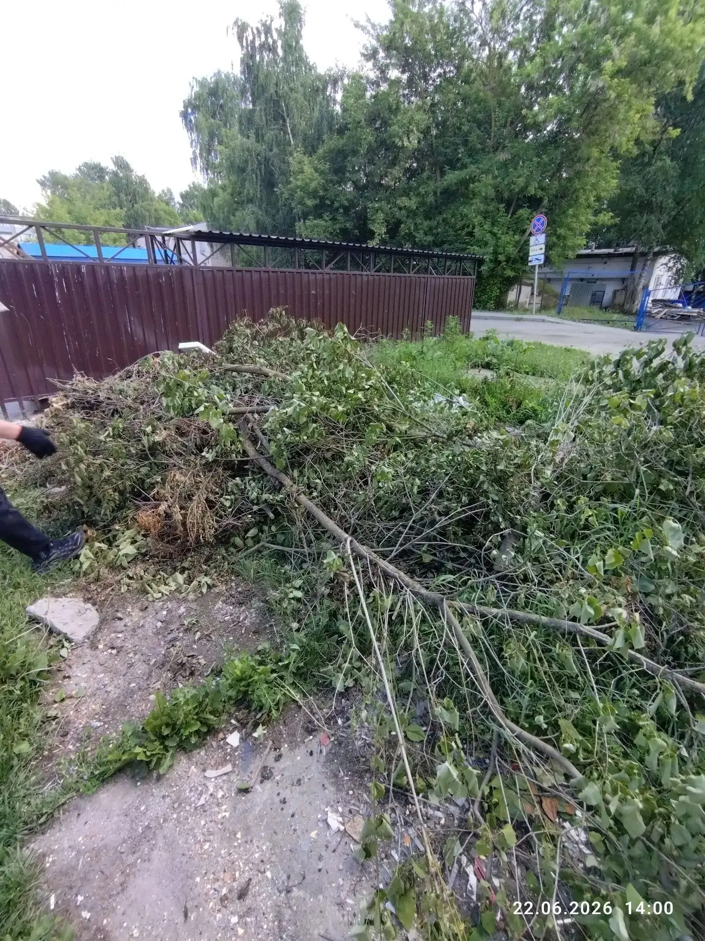 Пугачева, 32. Переработка веток дробилкой.