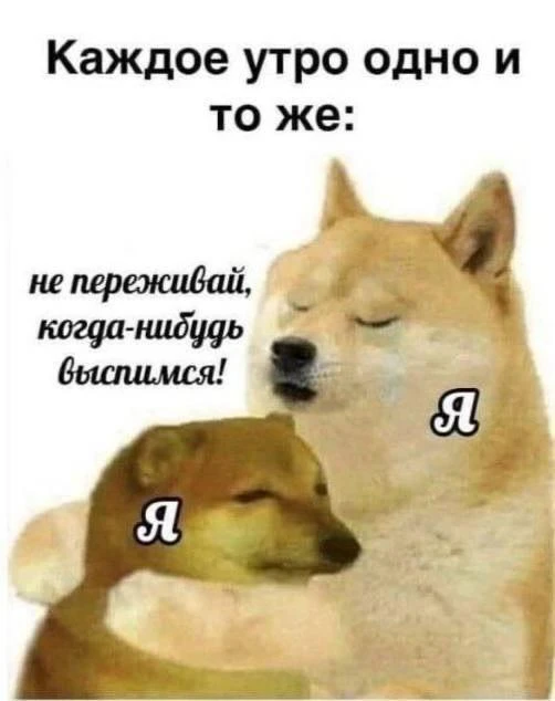 Когда-нибудь, но не сегодня 🥲