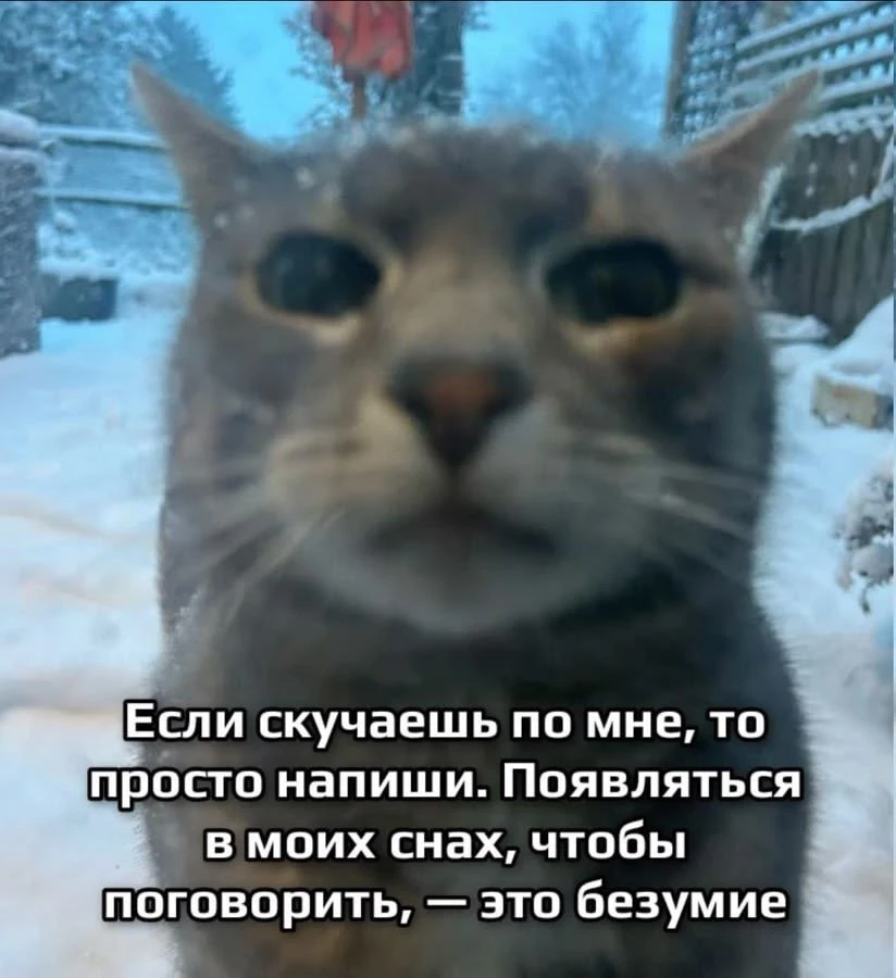если скучаешь по мне, то просто напиши. появляться в моих снах, чтобы поговорить - это безумие 😒


