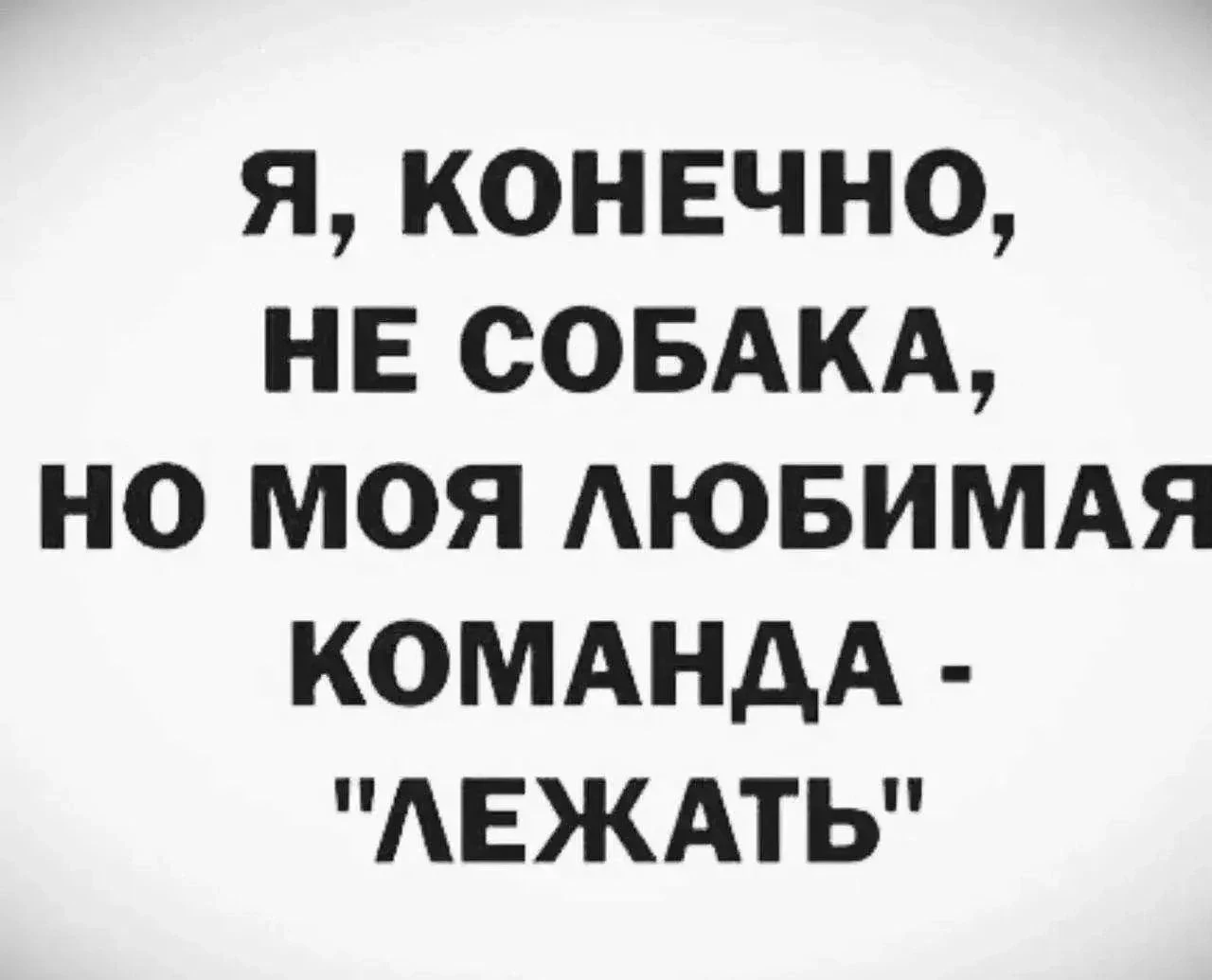 Минутка юмора 🤣🤣🤣