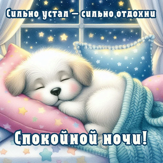 🌙 Доброй ночи!