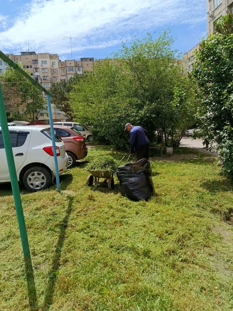 Покос травы на придомовых территориях МКД по ул. 60 лет Октября, 24, 26, ул. Русская, 1...