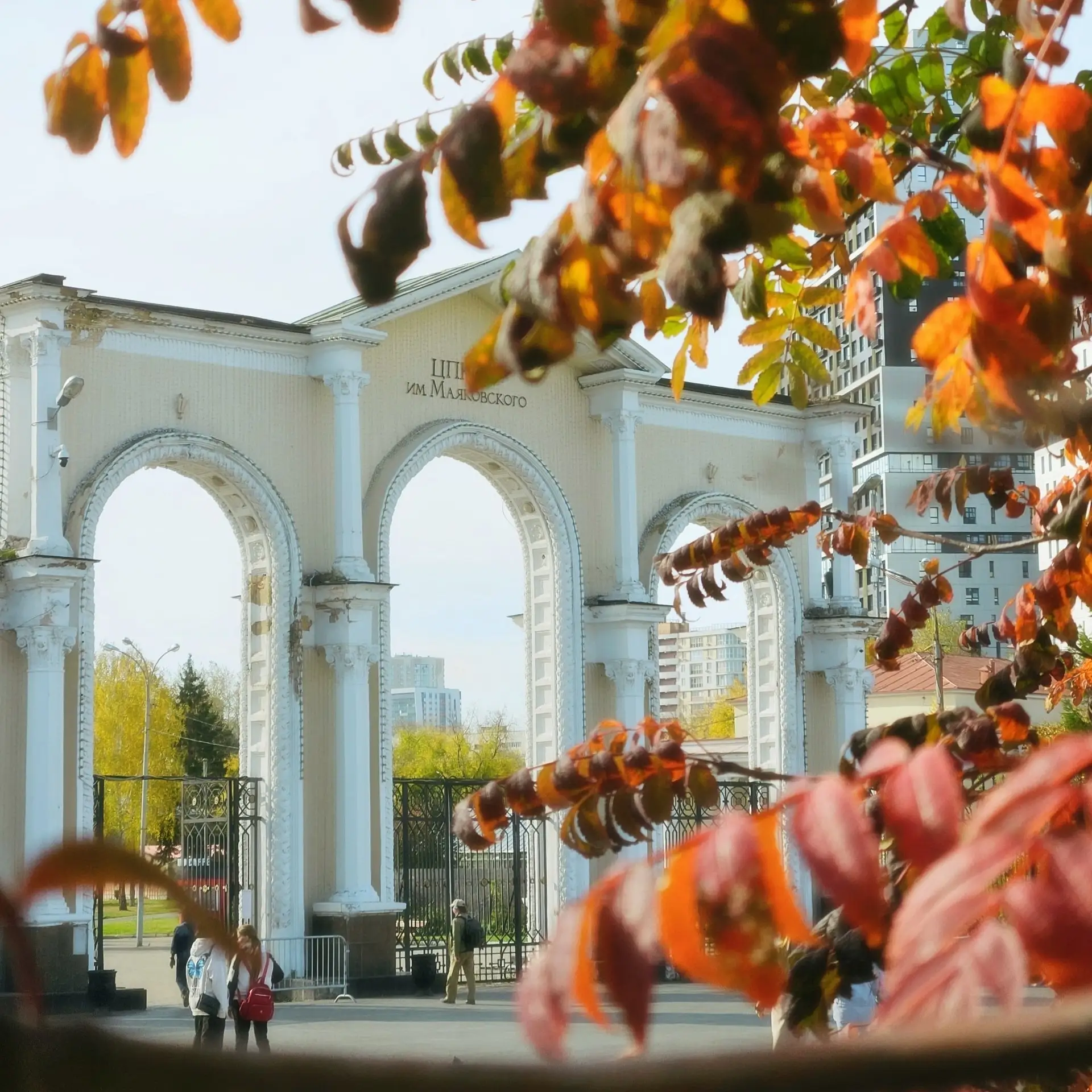 🎭 В парке Маяковского пройдёт фестиваль молодёжи с 12 по 15 сентября