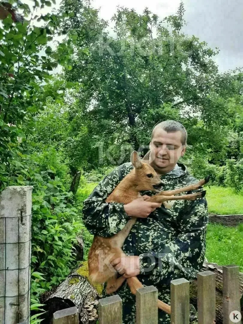 ДВОЕ СУТОК В ПЛЕНУ У ЧЕЛОВЕКА И ПОБЕГ В ЛЕС