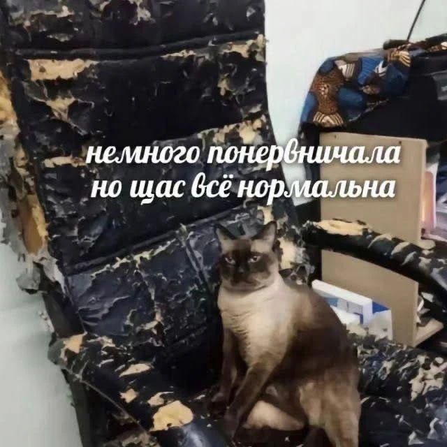 Всем тревожникам посвящается!