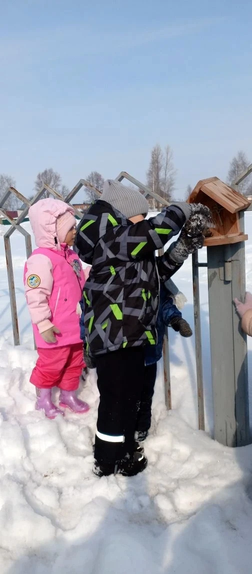 На ветку дерева и на заборы повесили удобные кормушки, наполнили их кормом. Теперь перн...