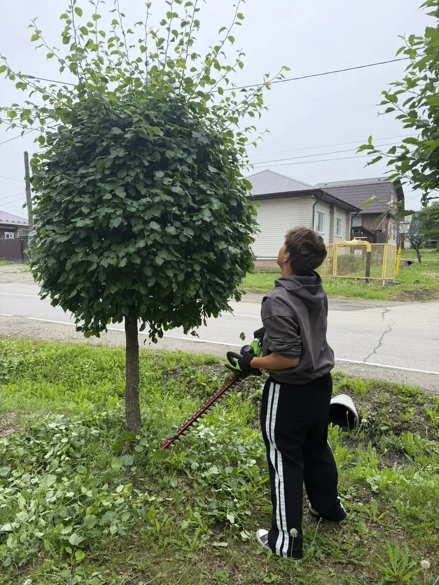 🎉 Лагерь труда и отдыха  в самом разгаре! 🌳

✨ Трудовые будни кипят с утра до вечера! Ребята нашег