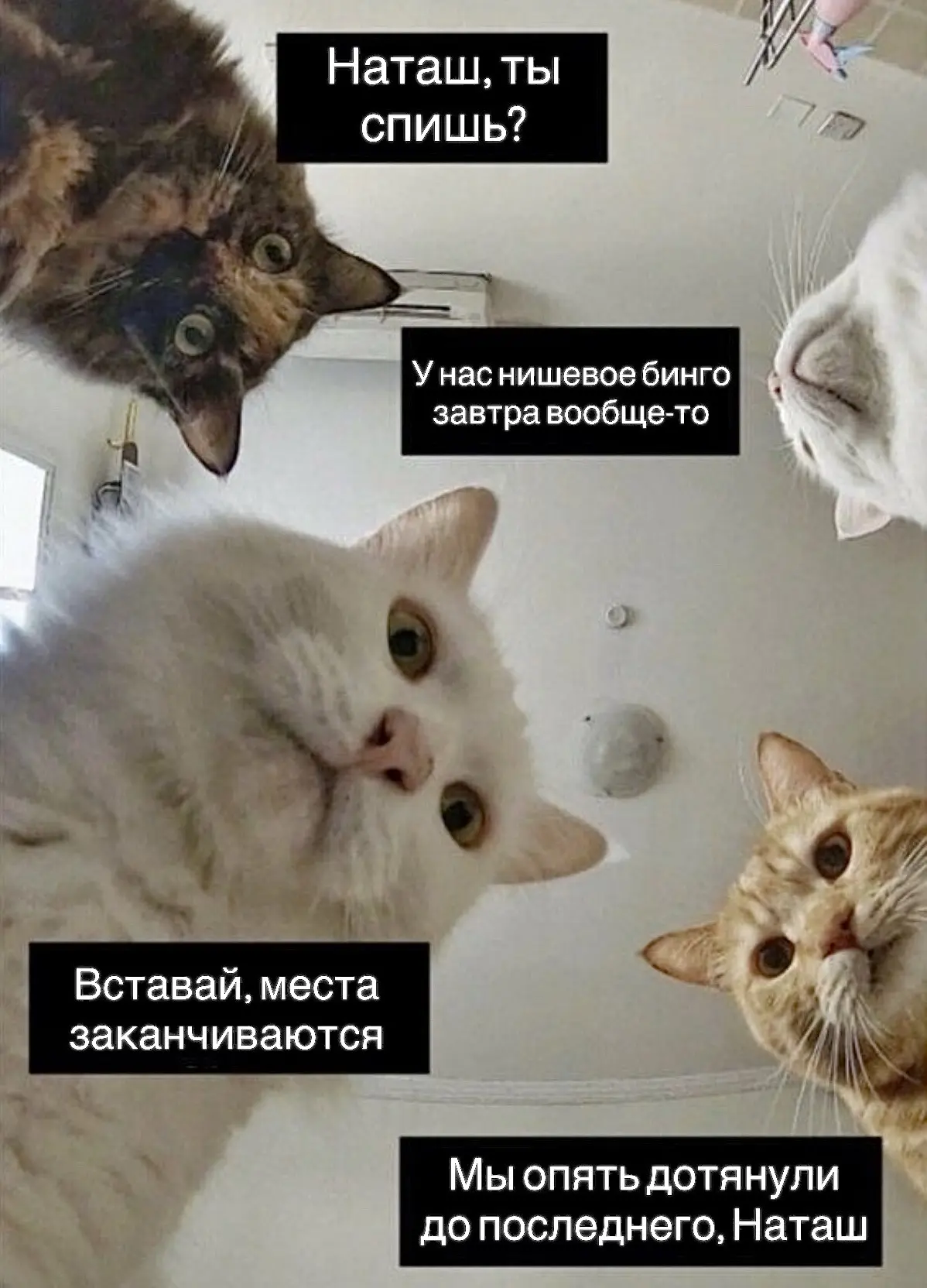 🚨НАТАША, МЫ