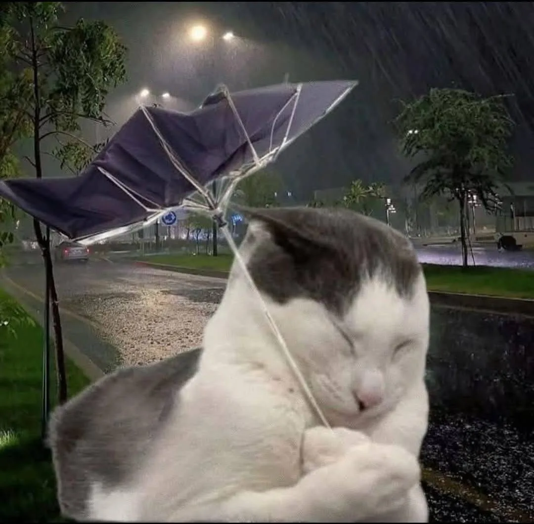 ☔️ Очень сильный дождь ожидается в Ульяновской области днём 8 сентября с сохранением но...