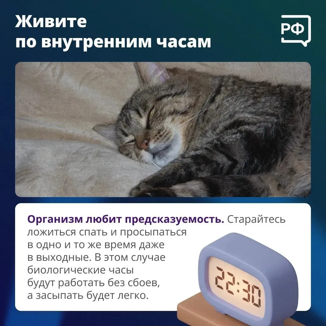 🛌 Хороший сон — не суперспособность, а сумма привычек, которые влияют на качество вашего отдыха.

К