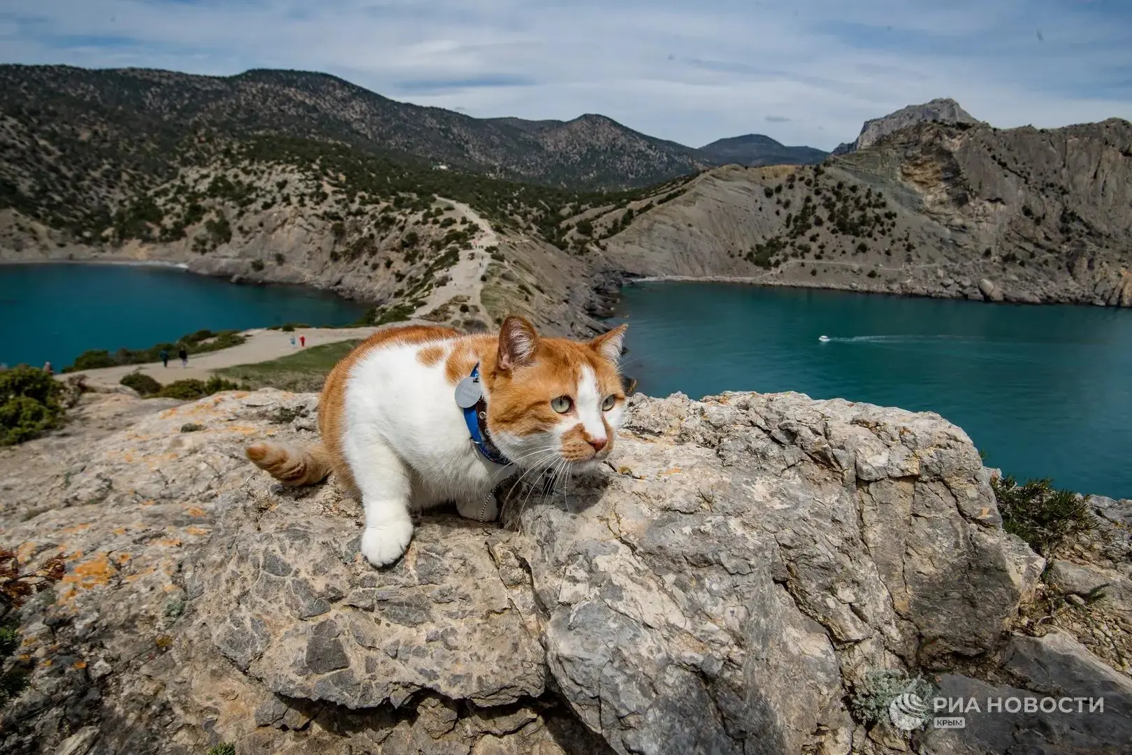 😺Грот, который помнит голос Шаляпина, горы, которые впитывали ароматы лучшего в мире и...