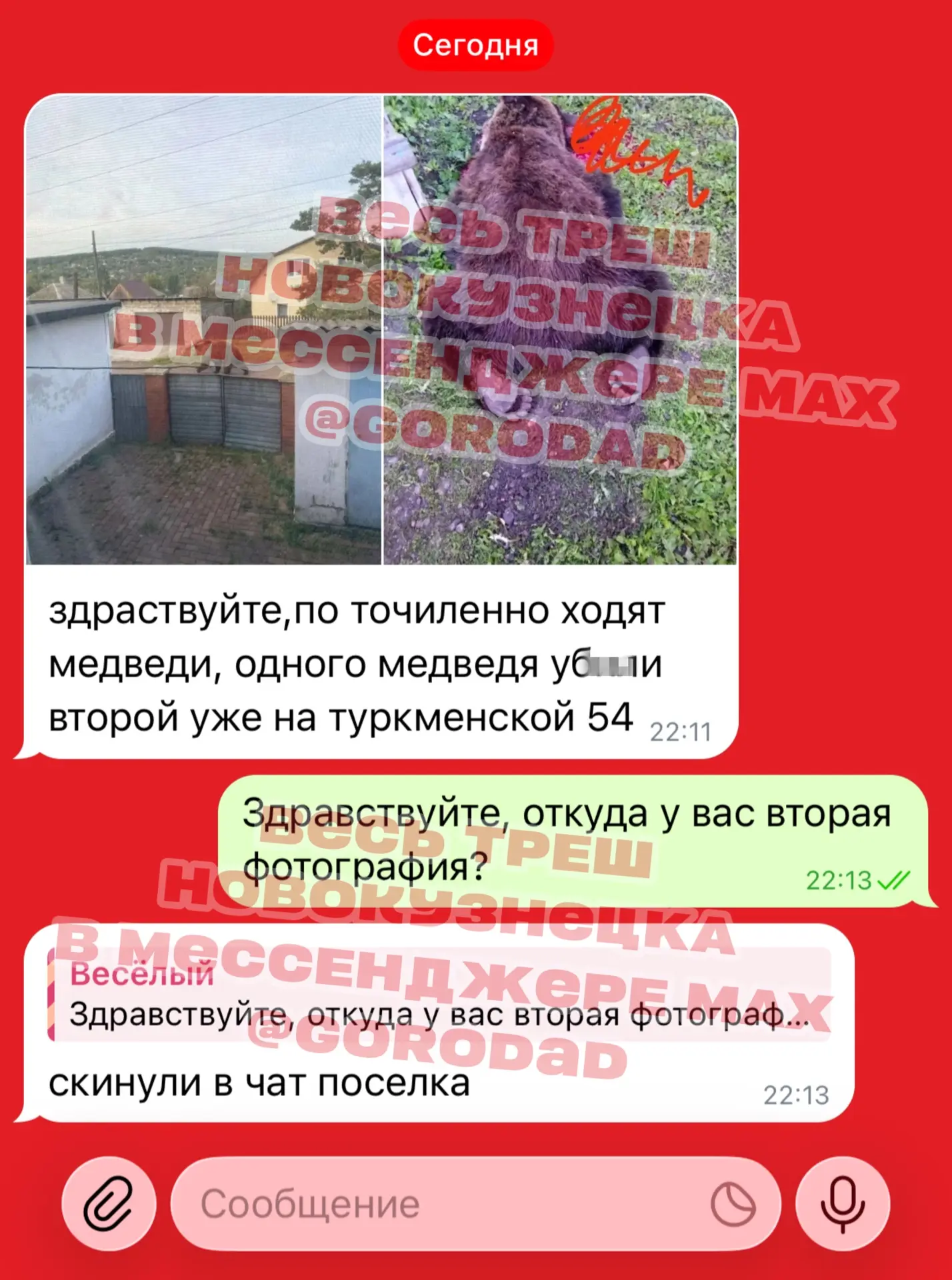 ❓ ЧИТАТЕЛИ ЗАВАЛИЛИ ПРЕДЛОЖКУ СООБЩЕНИЯМИ О МЕДВЕДЯХ В ТОЧИЛИНО! 18+!