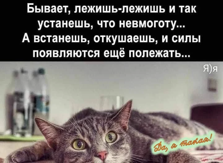😄