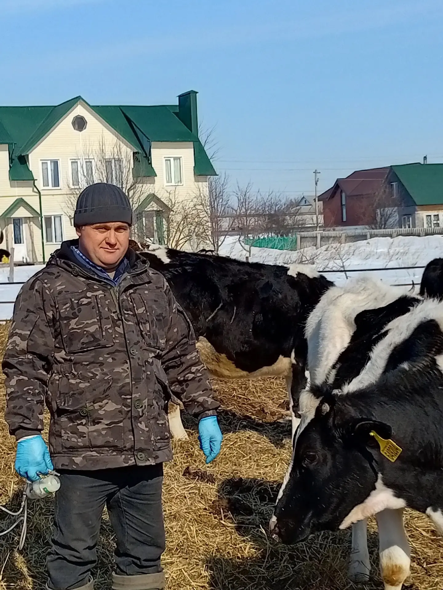 Уважаемые сотрудники Алькеевского государственного ветеринарного объединения и дорогие ...