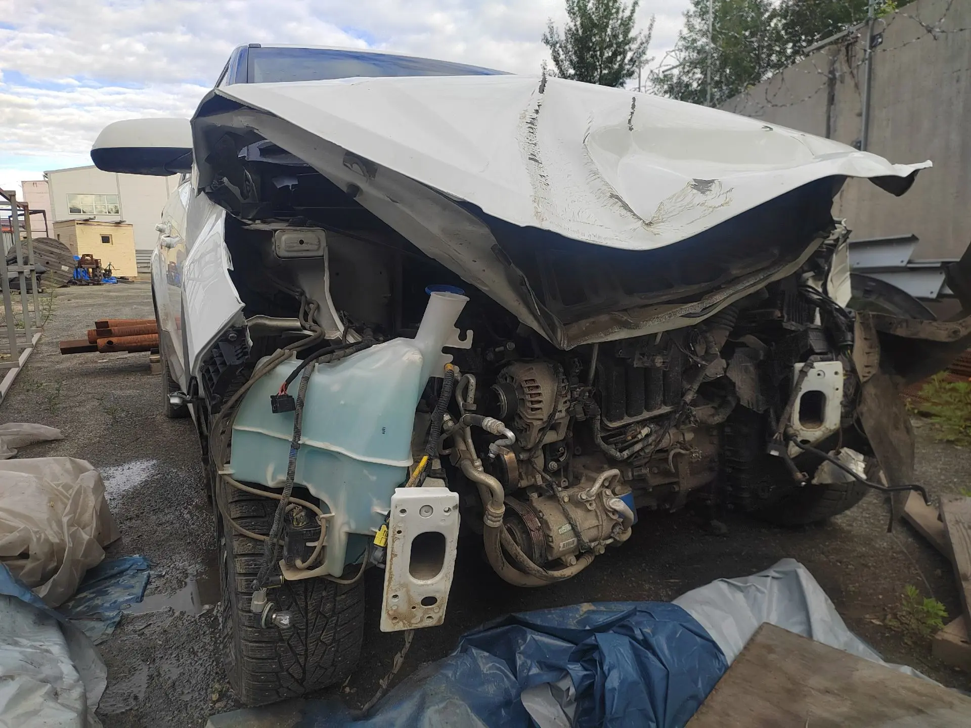 Доброго времени суток одноклубники