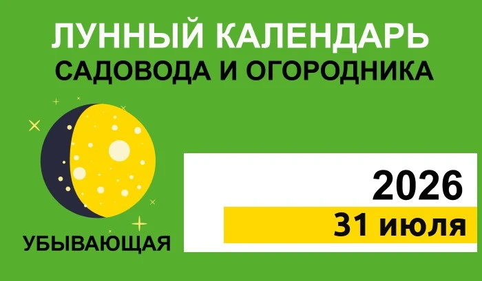 31 июля — пятница, 17 лунные сутки. Луна в Водолее. Убывающая Луна ✅ Работы: рыхление почвы для проп
