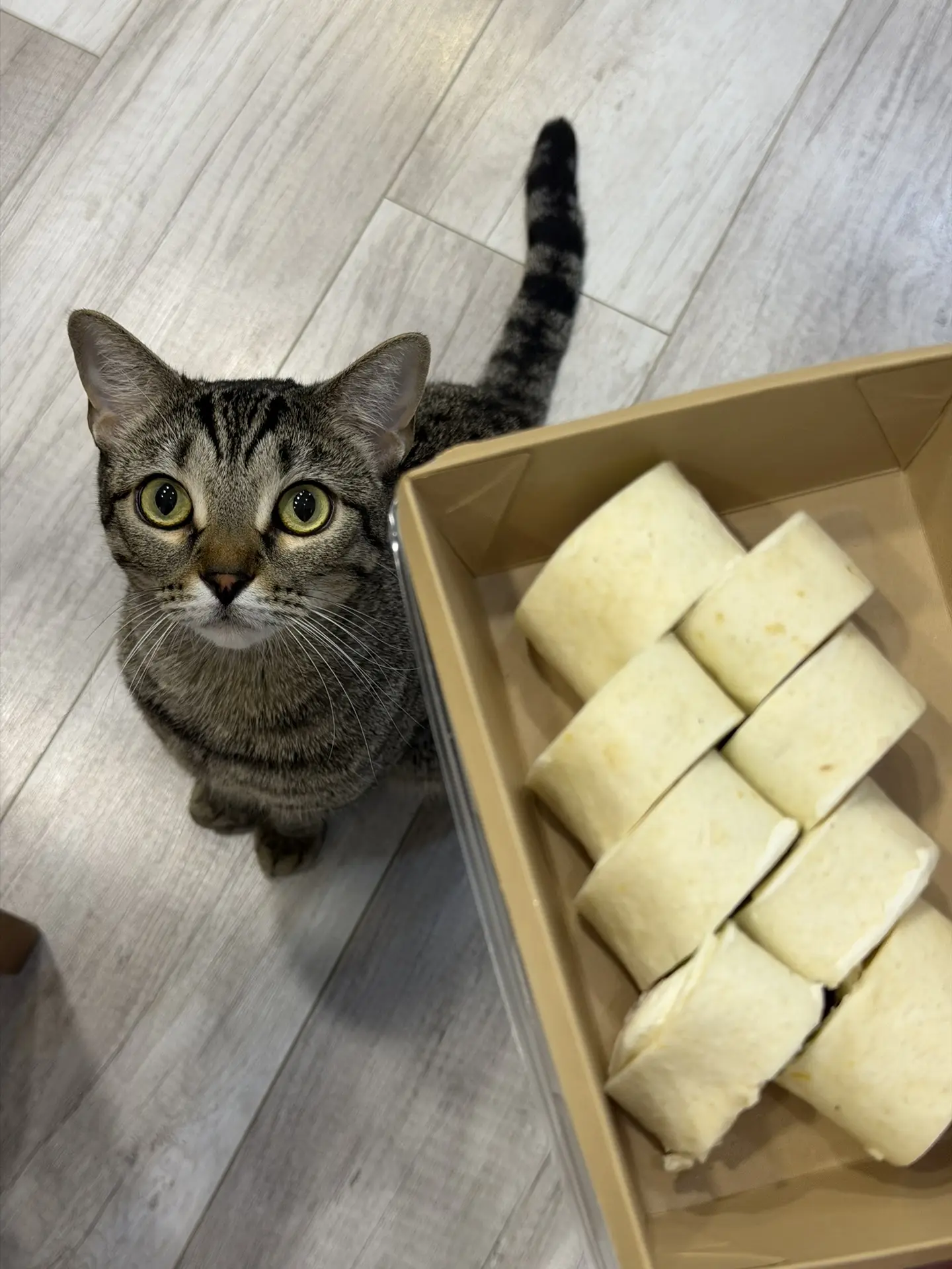 Я всё-таки не удержалась и заказала наши новинки — тортильи 😍🌯