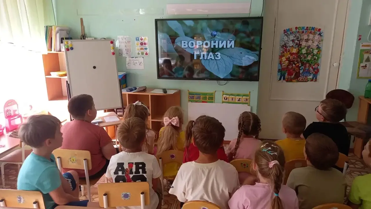 🌿Ребята группы "Солнышко"  познакомились  с растениями леса:полезными и ядовитыми.  Он...