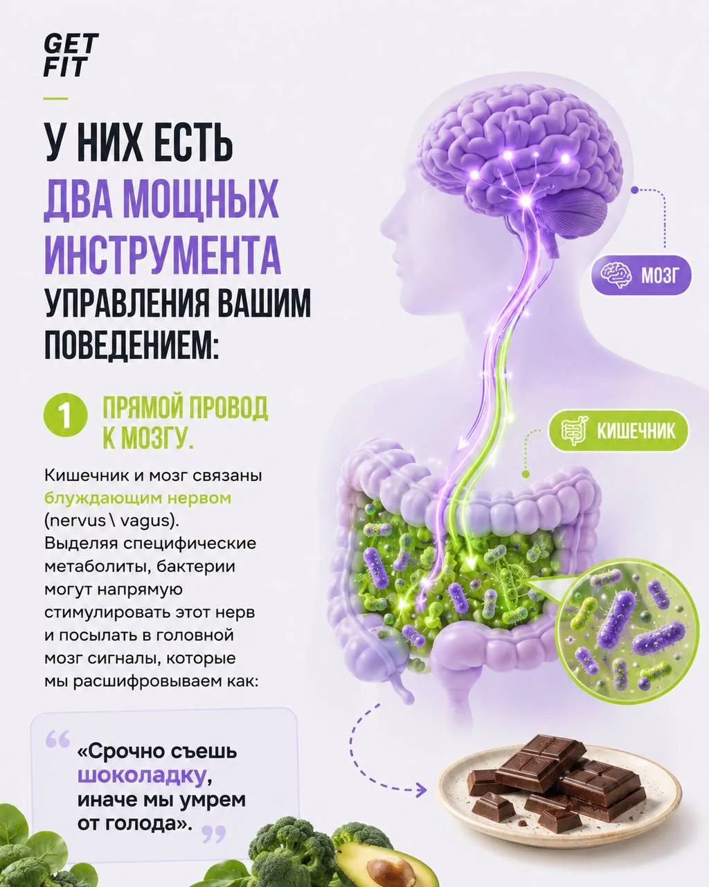 🦠МИКРОБНЫЙ ШАНТАЖ: кто решает, что вам съесть?  Как именно микробиом манипулирует вашим аппетитом, п