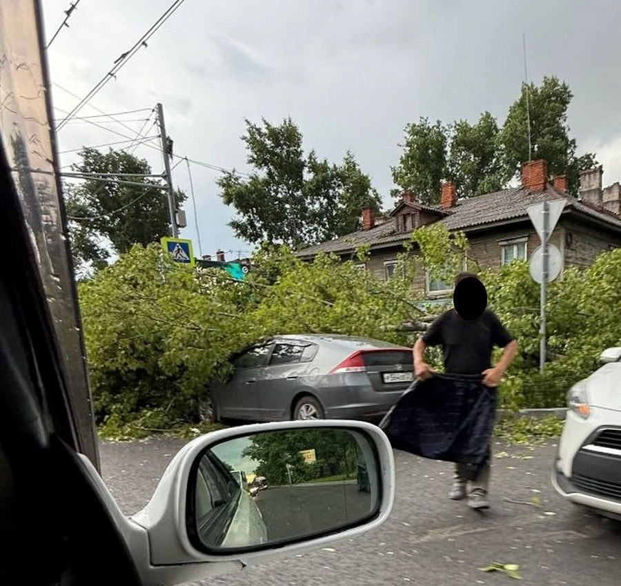Дерево упало на авто

В Хабаровске накануне ветром повалило деревья. На проспекте 60-лет Октября дер