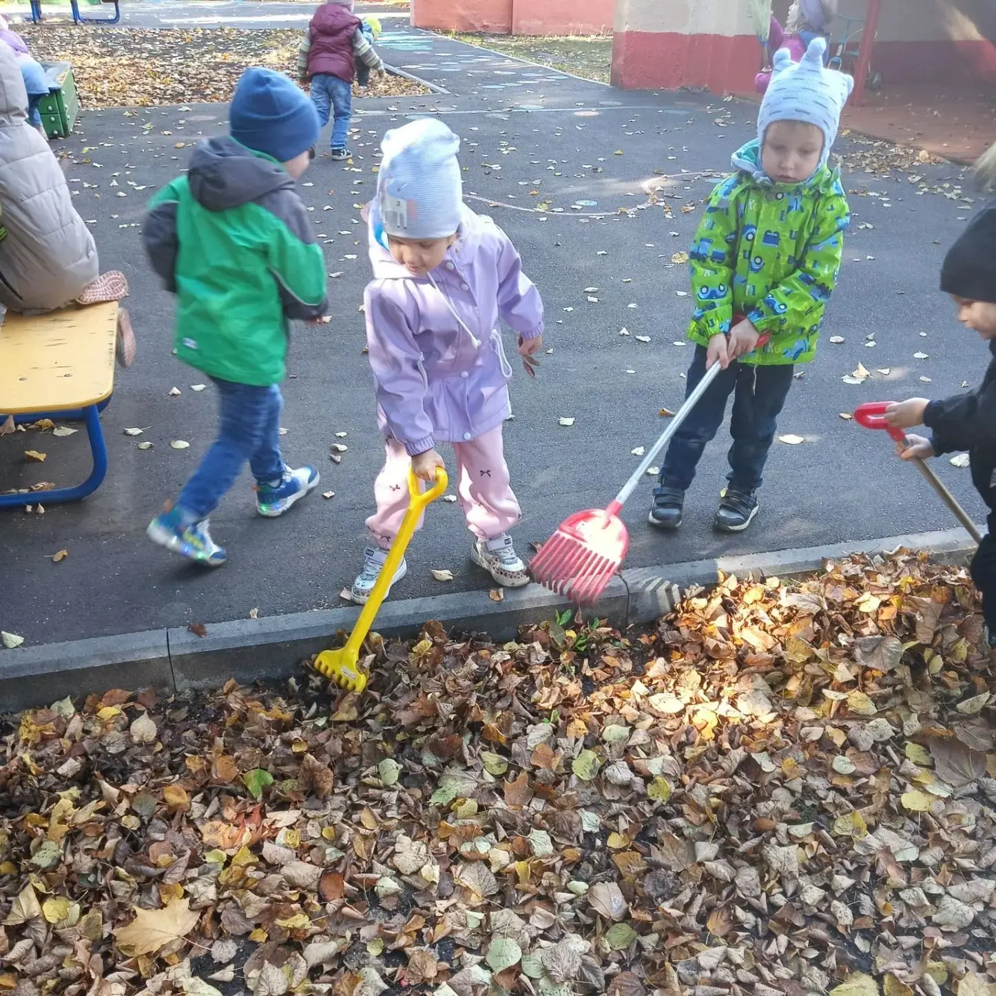 🍂 Осенние хлопоты — в радость!