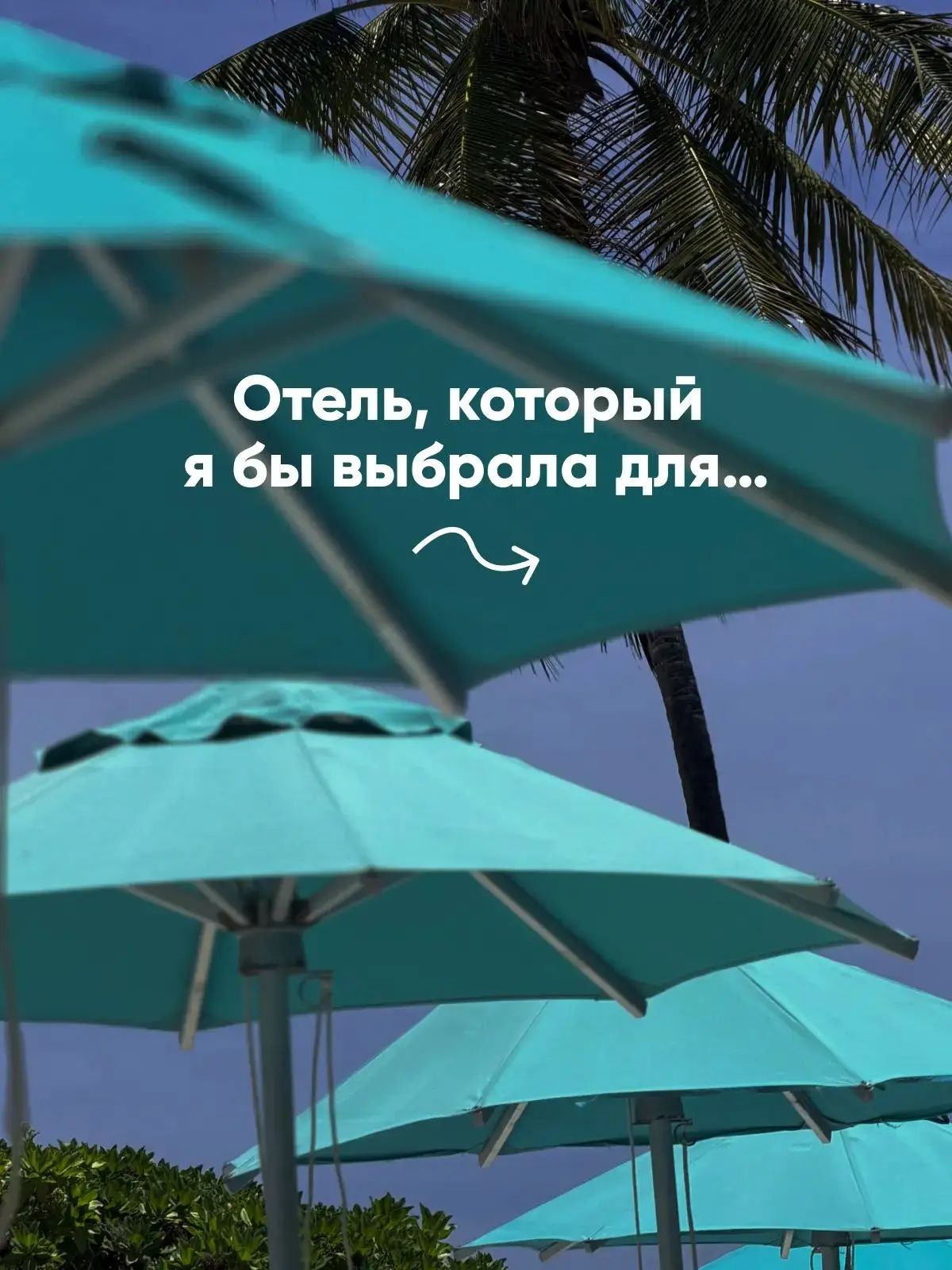 Отель, который я бы выбрала для…