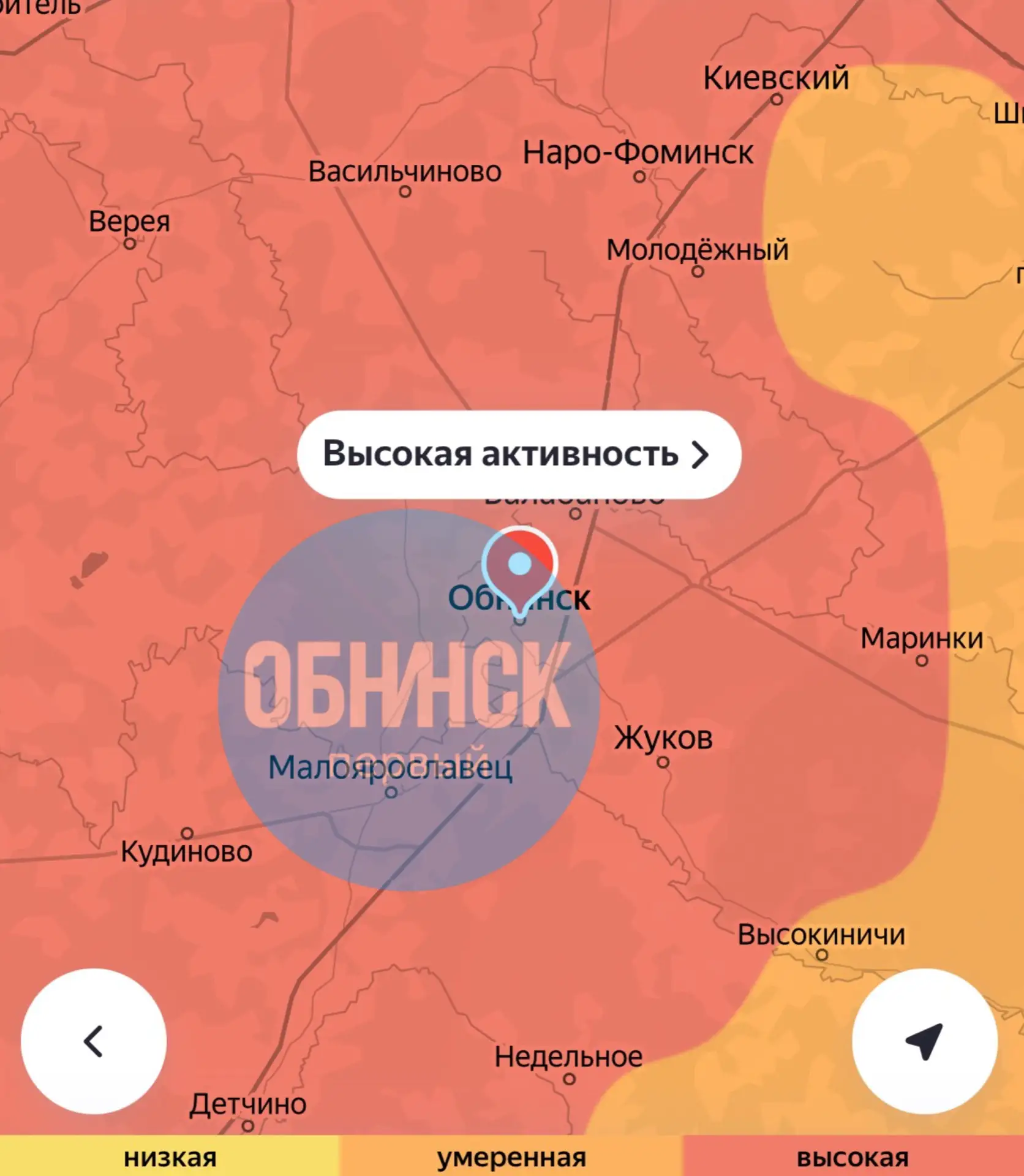 В Обнинске начался период цветения берёзы.  По всему городскому округу фиксируется высокий уровень к