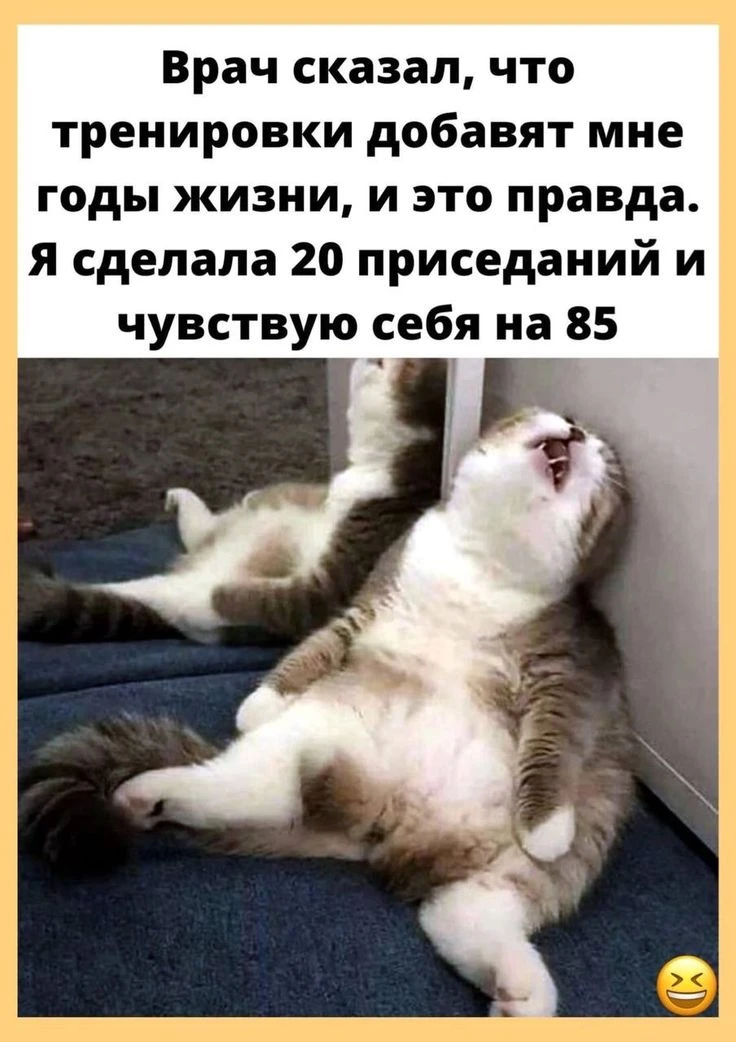 Подпишись, чтобы не потерять👇
Тёплый гусь• Юмор