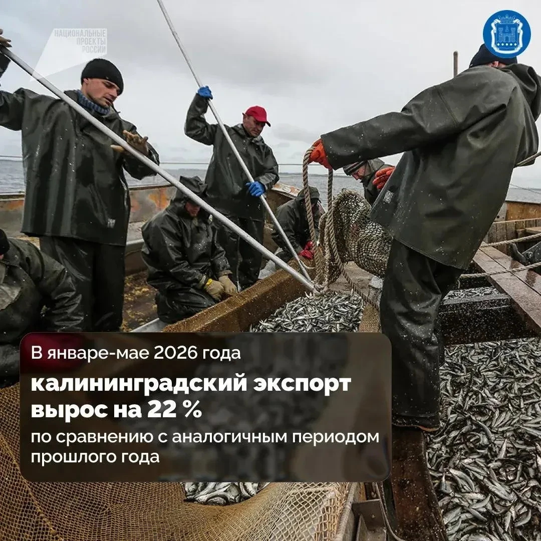 В августе наш регион занимает 2-е место в Северо‑Западном федеральном округе и 5-е мест...